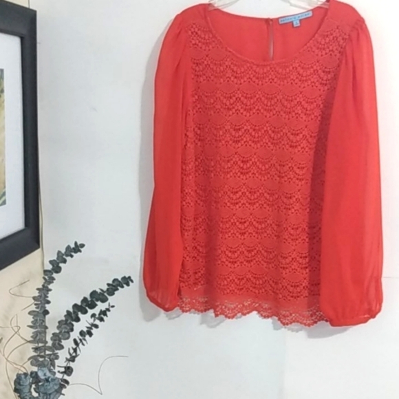 ANTONIO MELANI SHEER LACE BLOUSE SIZE SMALL - Picture 1 of 12